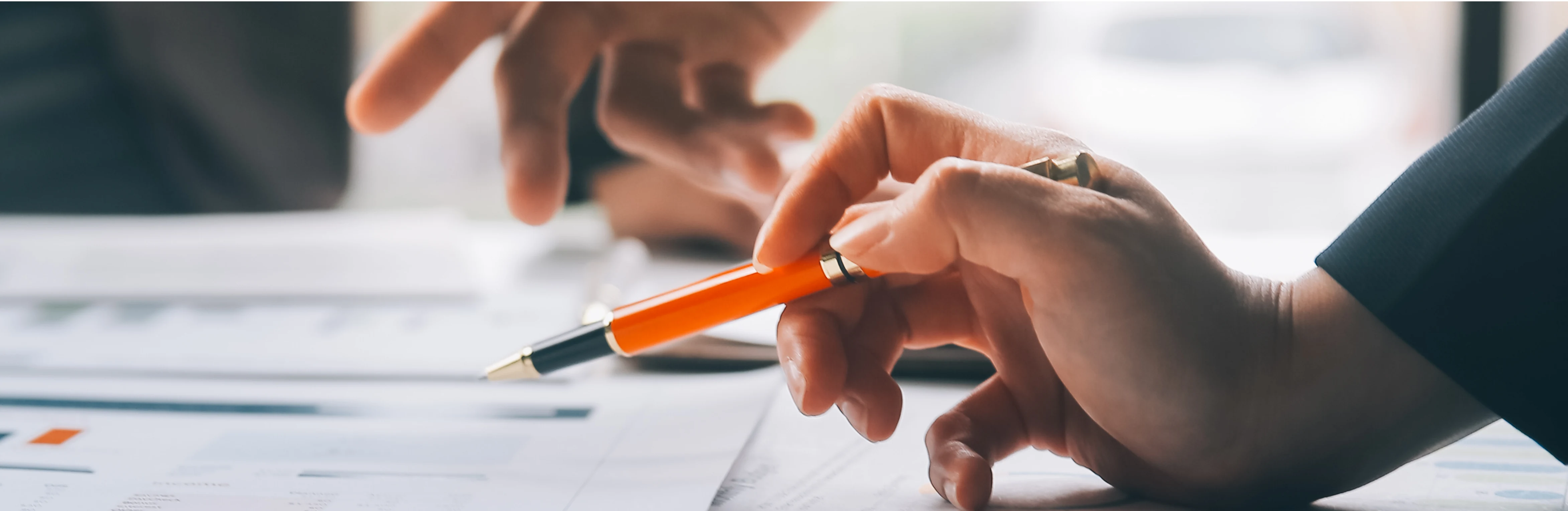 Financial consultants reviewing a plan